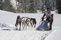 Kandersteg 2013